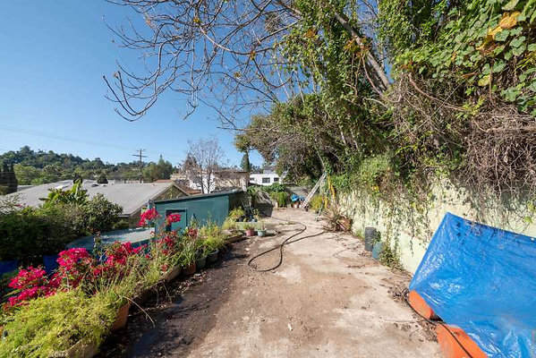 11536 garden 10