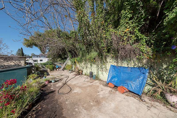 11536 garden 11