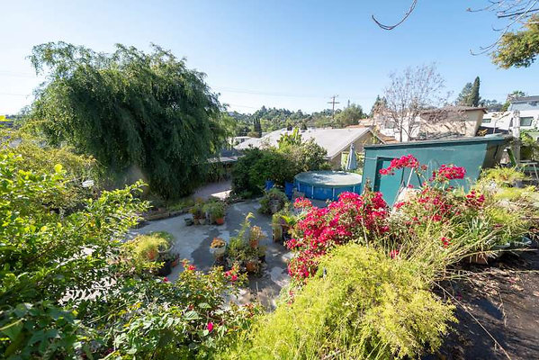 11536 garden 1