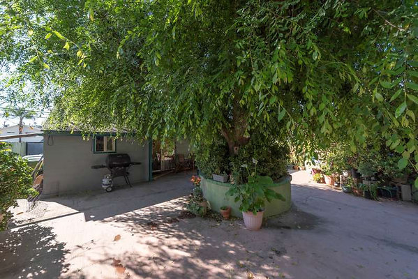 11536 garden 4