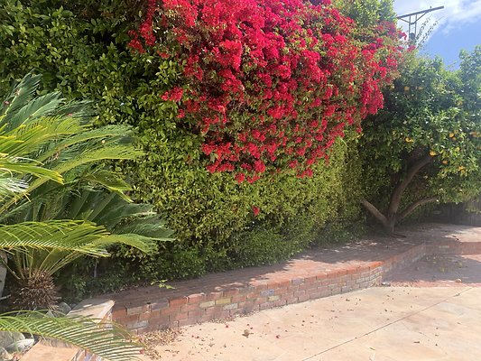 14068 garden 1