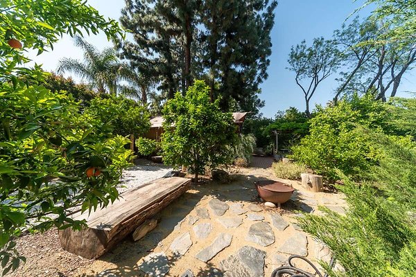 14061 garden 8