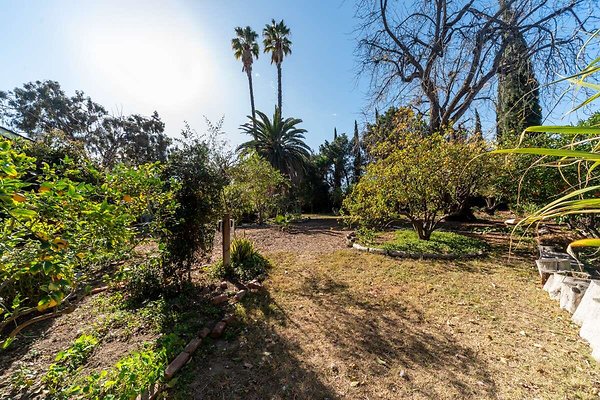 13950 garden 1